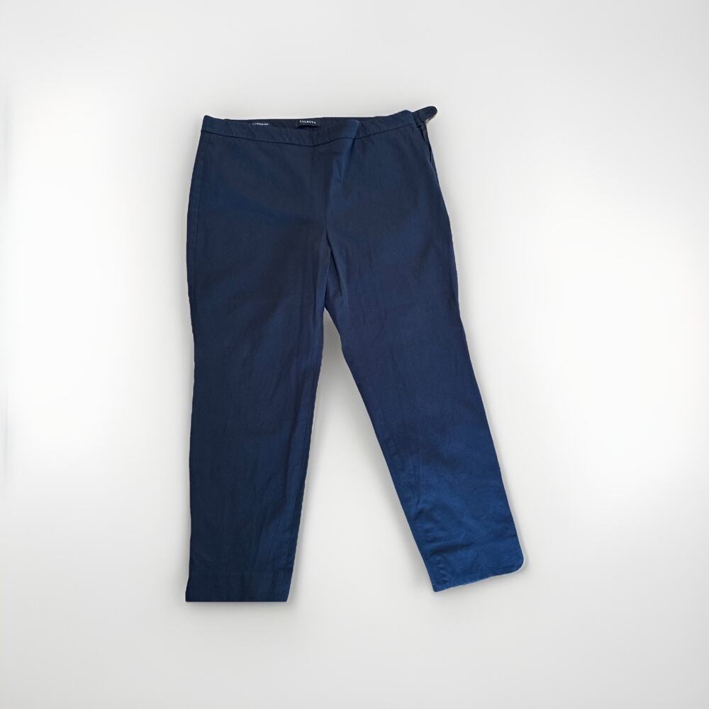 Talbots Chatham‎ Ankle Black Pants-Size 16 Zip Side